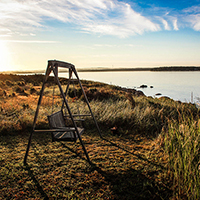 手机号测压在线平台